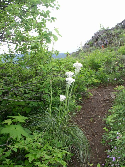 6.10.06 Table Mtn_3CR 060 